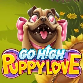 Go High Puppy Love by RubyPlay, showcased at lizarocasinoo.pl – game logo
